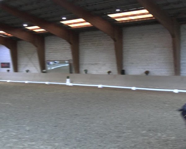 Reitturnier Kamen 2022