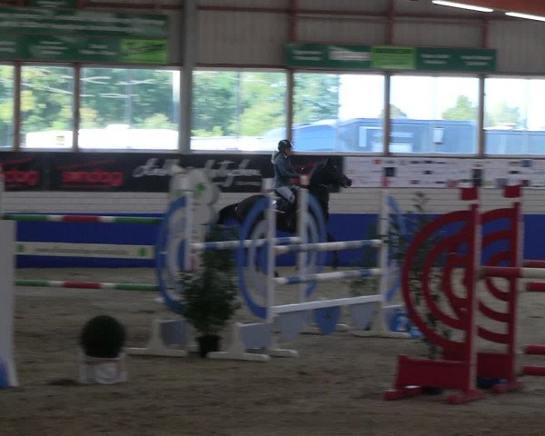 Reitturnier Isterberg Euregio Springturnier 2022