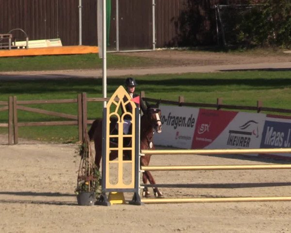 Reitturnier Westergellersen 2022