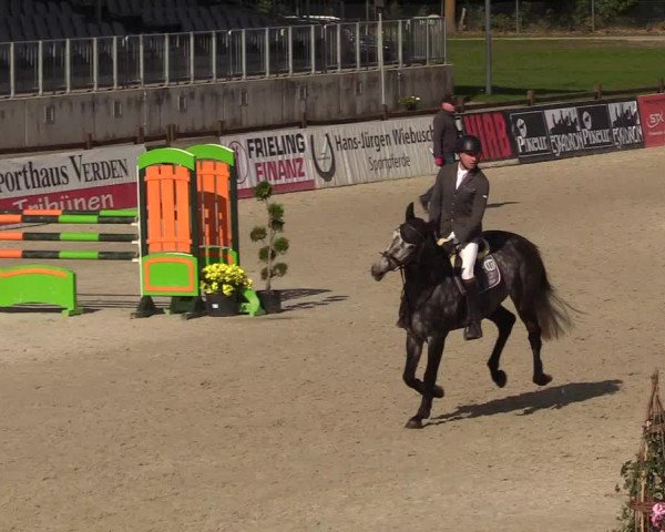 Reitturnier Westergellersen 2022