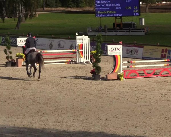 Reitturnier Westergellersen 2022