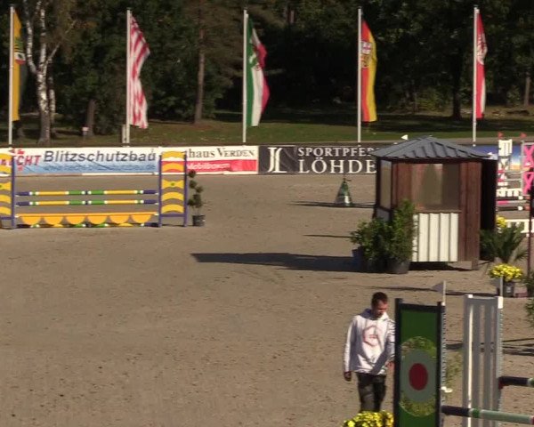 Reitturnier Westergellersen 2022