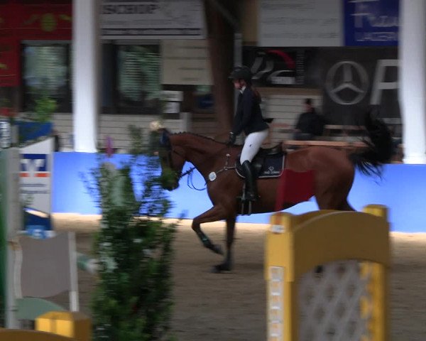 Reitturnier Isterberg Euregio Springturnier 2022