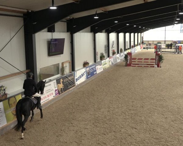 Reitturnier Borken 2022