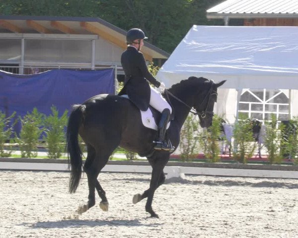Reitturnier Troisdorf - Haus Rott 2022