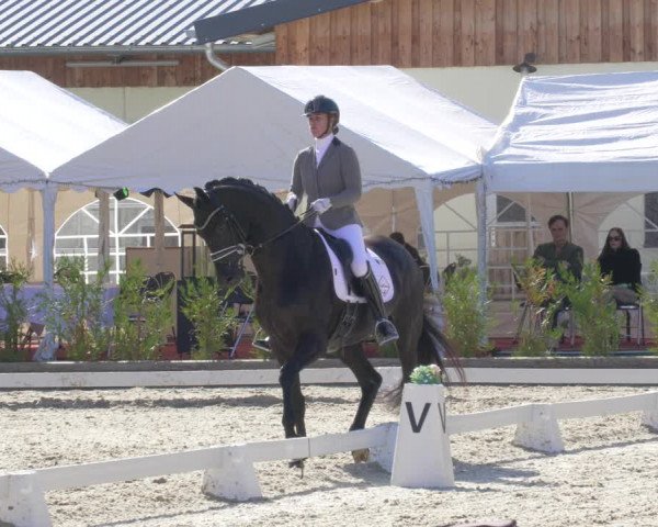 Reitturnier Troisdorf - Haus Rott 2022