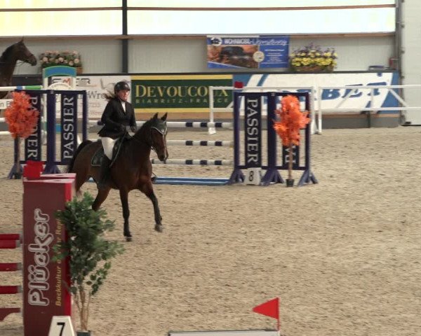 Reitturnier Borken 2022
