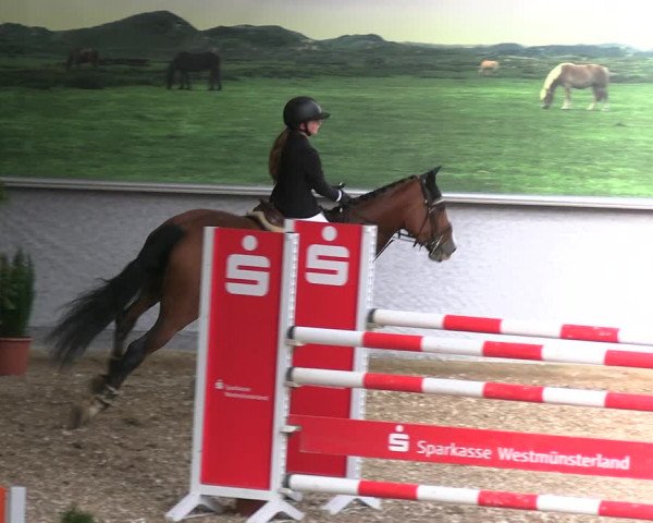 Reitturnier Legden 2022