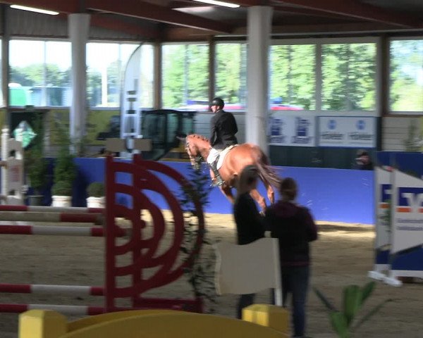 Reitturnier Isterberg Euregio Springturnier 2022