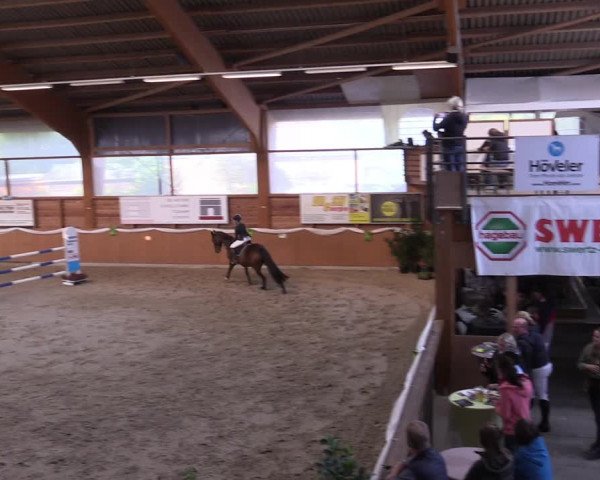 Reitturnier Xanten - Reitanlage Miss 2022