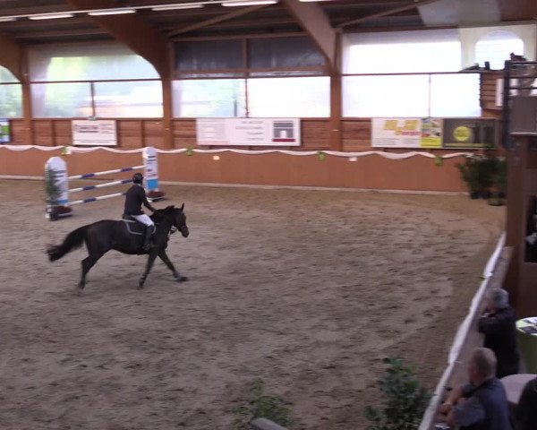 Reitturnier Xanten - Reitanlage Miss 2022