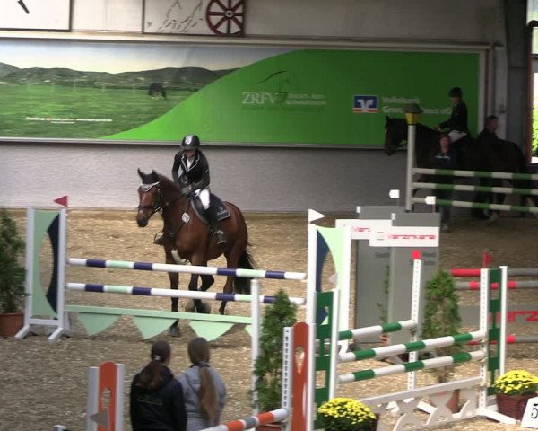 Reitturnier Legden 2022