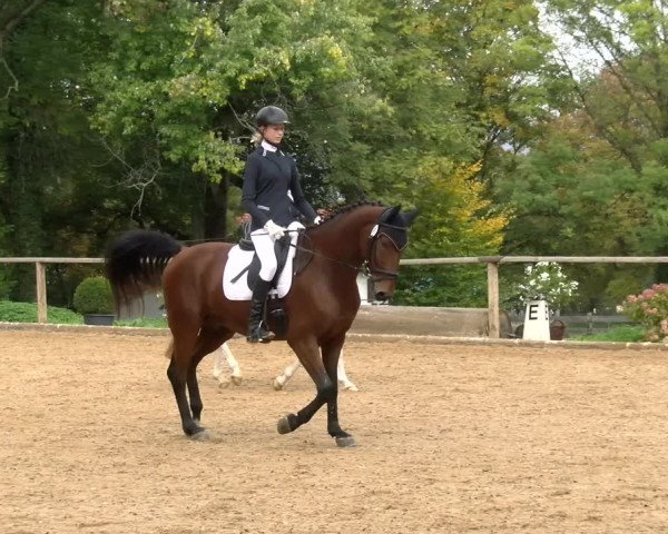 Reitturnier Diessen 2022