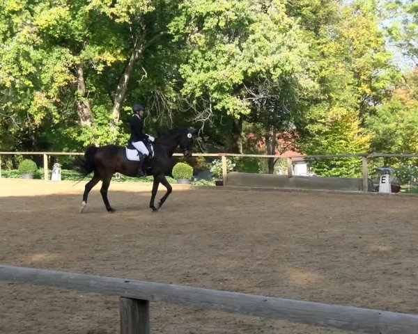 Reitturnier Diessen 2022