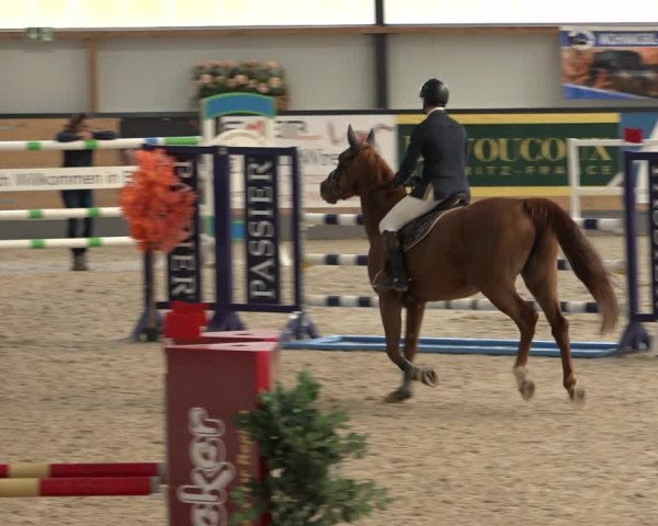 Reitturnier Borken 2022