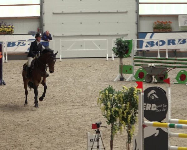 Reitturnier Borken 2022