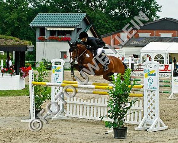 broodmare French Touch (Rhinelander, 2002, from Florestan I) broodmare French Touch (Rhinelander, 2002, from Florestan I)