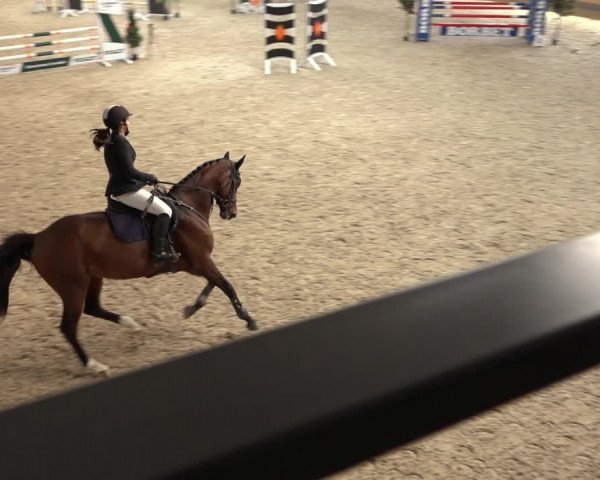 Reitturnier Borken 2022