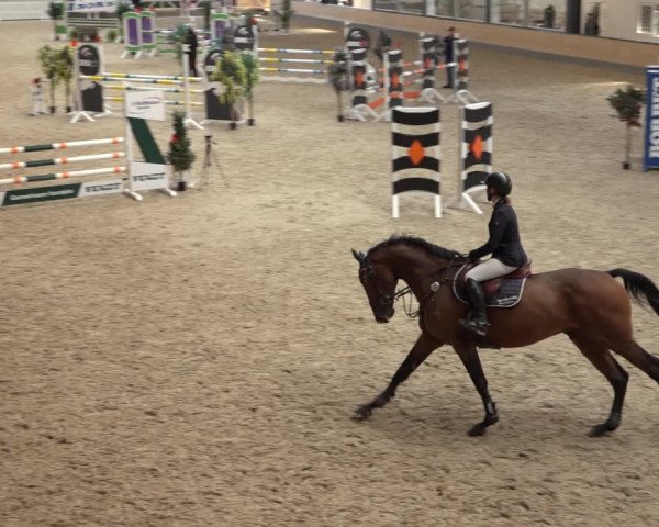 Reitturnier Borken 2022