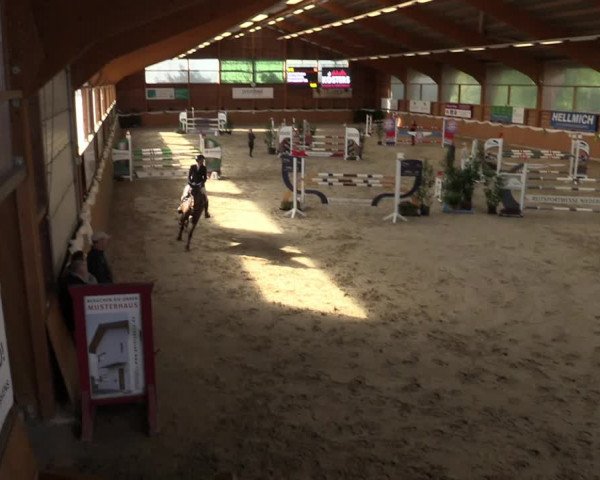 Reitturnier Xanten - Reitanlage Miss 2022