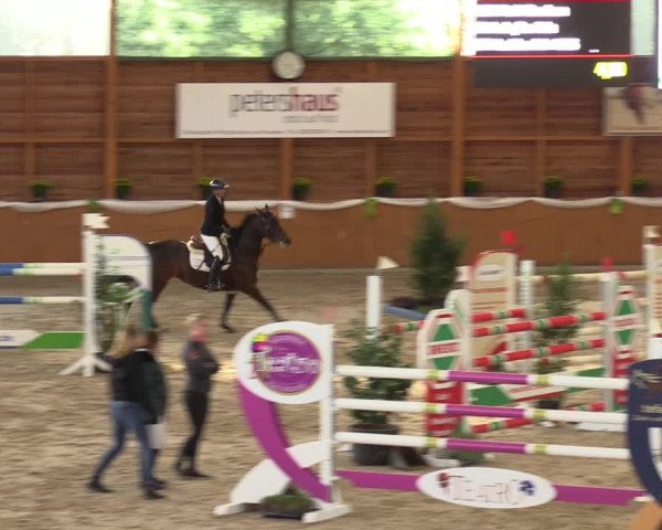 Reitturnier Xanten - Reitanlage Miss 2022