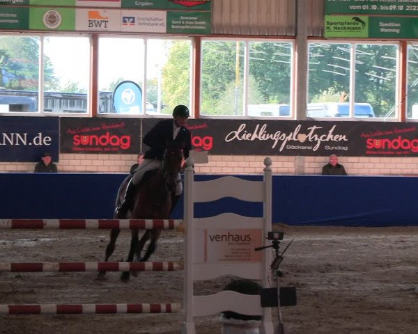 Reitturnier Isterberg Euregio Springturnier 2022