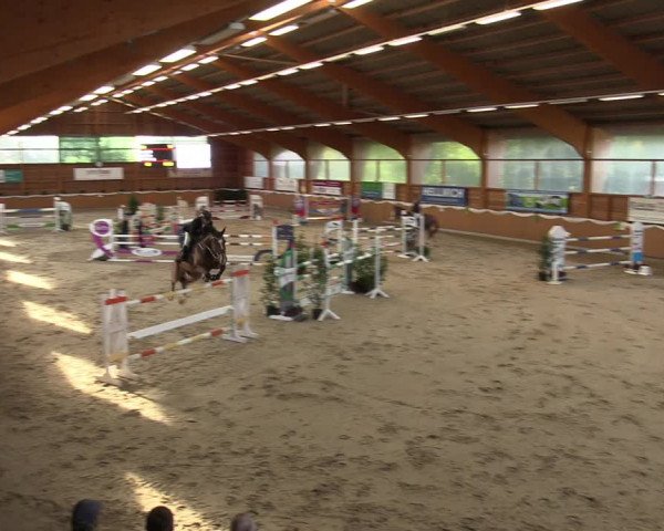 Reitturnier Xanten - Reitanlage Miss 2022