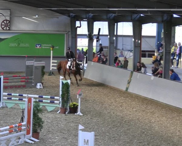 Reitturnier Legden 2022