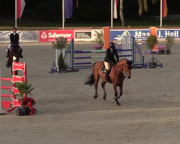 Reitturnier Westergellersen 2022