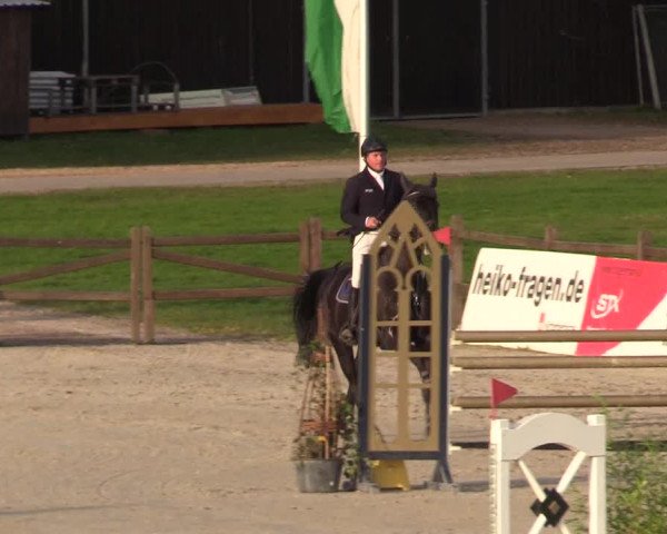 Reitturnier Westergellersen 2022