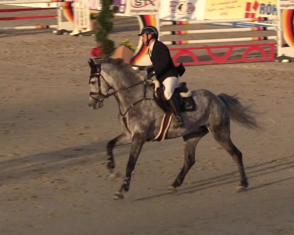 Reitturnier Westergellersen 2022