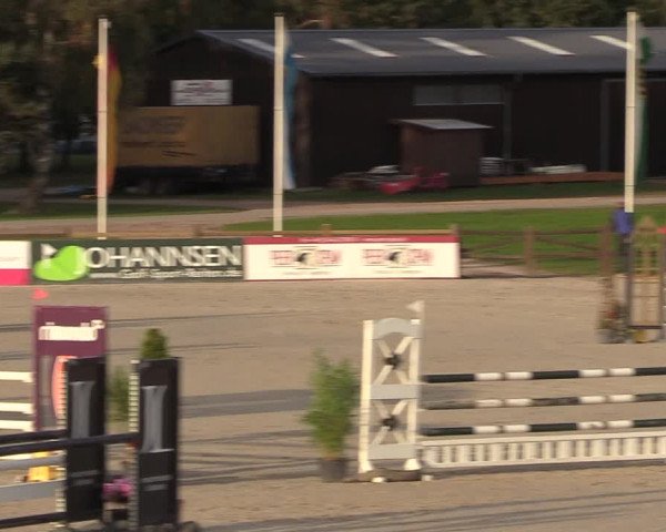 Reitturnier Westergellersen 2022