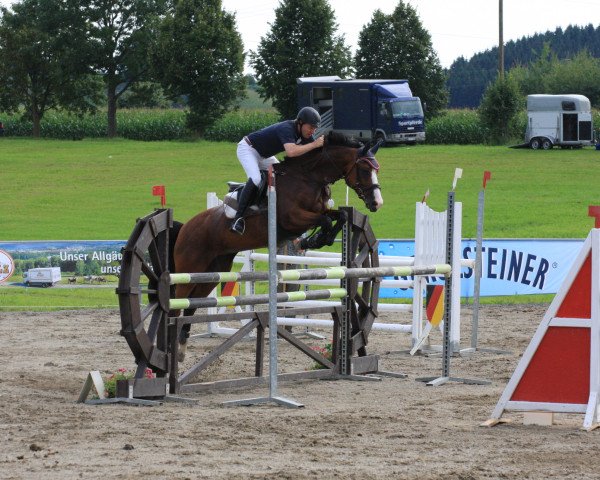 broodmare Creta H (Oldenburg, 2004, from Curacao I)