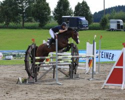 broodmare Creta H (Oldenburg, 2004, from Curacao I)