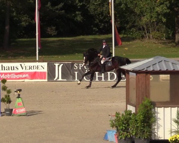 Reitturnier Westergellersen 2022