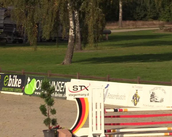 Reitturnier Westergellersen 2022
