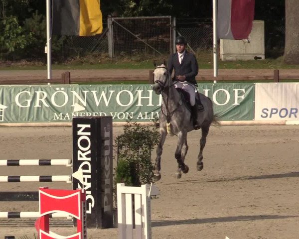 Reitturnier Westergellersen 2022