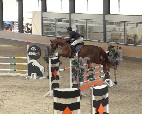 Reitturnier Borken 2022
