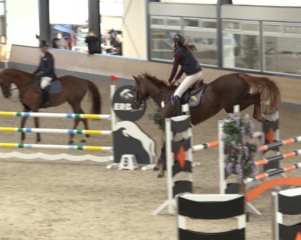 Reitturnier Borken 2022