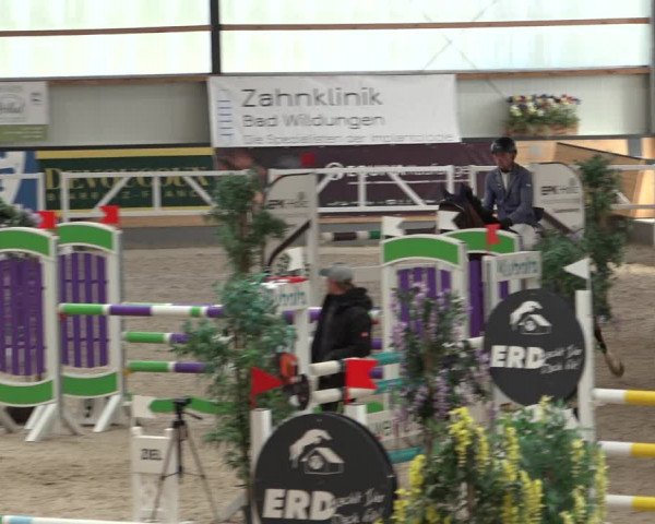 Reitturnier Borken 2022