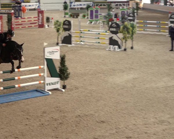 Reitturnier Borken 2022