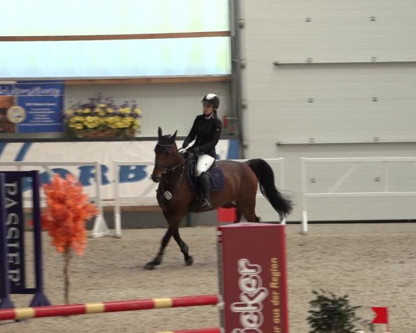 Reitturnier Borken 2022