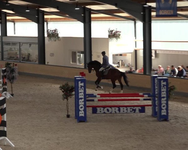 Reitturnier Borken 2022