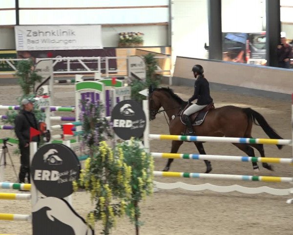 Reitturnier Borken 2022