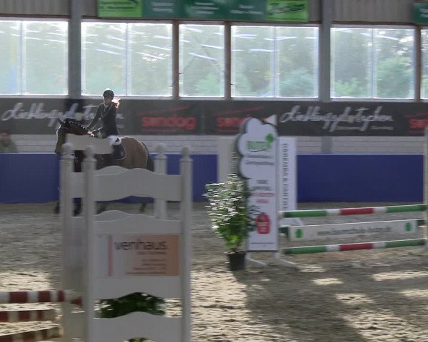 Reitturnier Isterberg Euregio Springturnier 2022