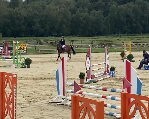 Video of Snowdrop Pj