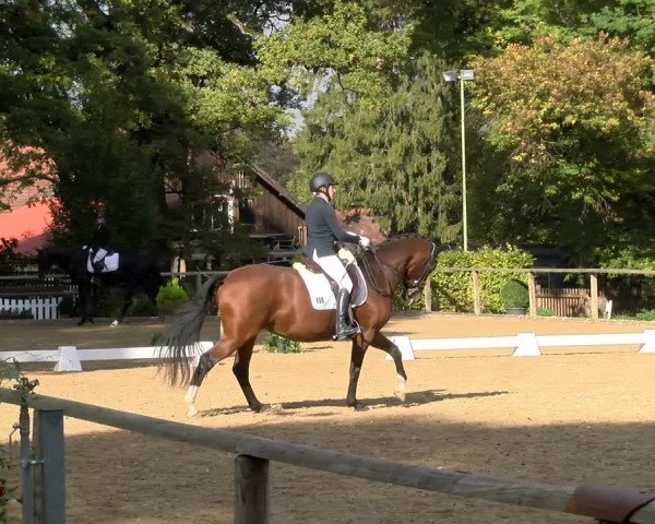 Reitturnier Diessen 2022