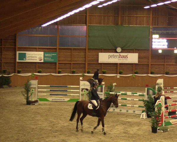Reitturnier Xanten - Reitanlage Miss 2022