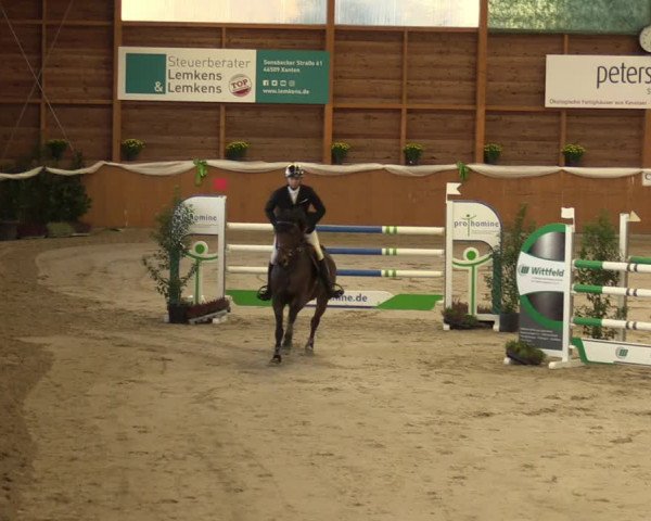 Reitturnier Xanten - Reitanlage Miss 2022