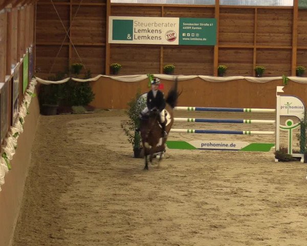Reitturnier Xanten - Reitanlage Miss 2022